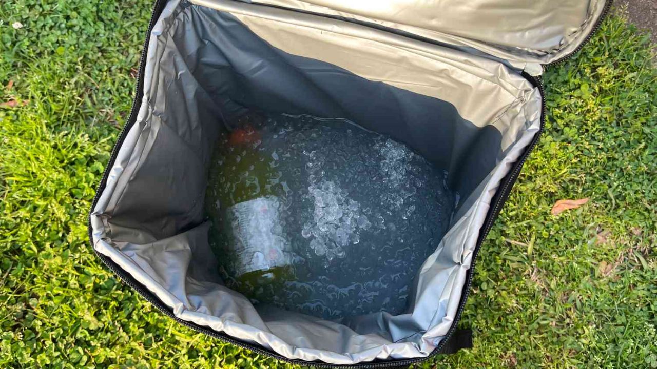 Why Leading Brands Choose Everich as Their Cooler Bag Manufacturer